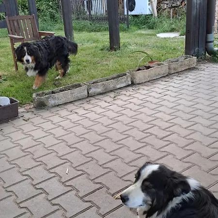 V Rodinnem Se Sdilenou Koupelnou Cernosice