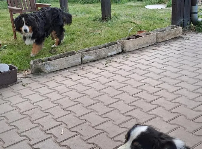 V Rodinném Se Sdílenou Koupelnou Cernosice